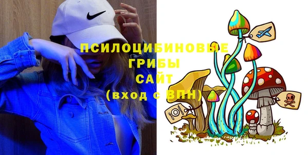 Альфа ПВП Алзамай