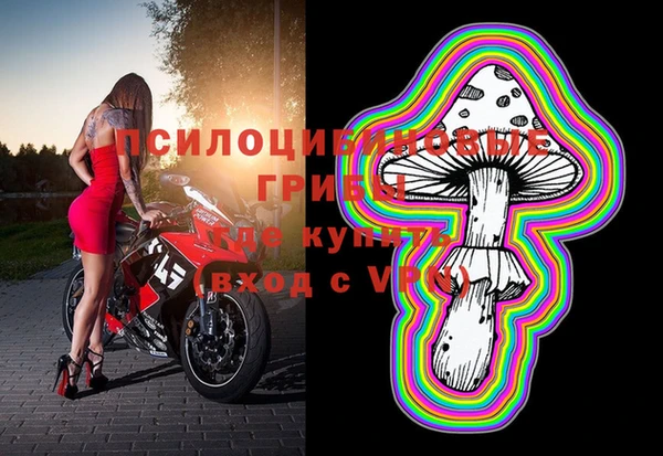 Альфа ПВП Алзамай
